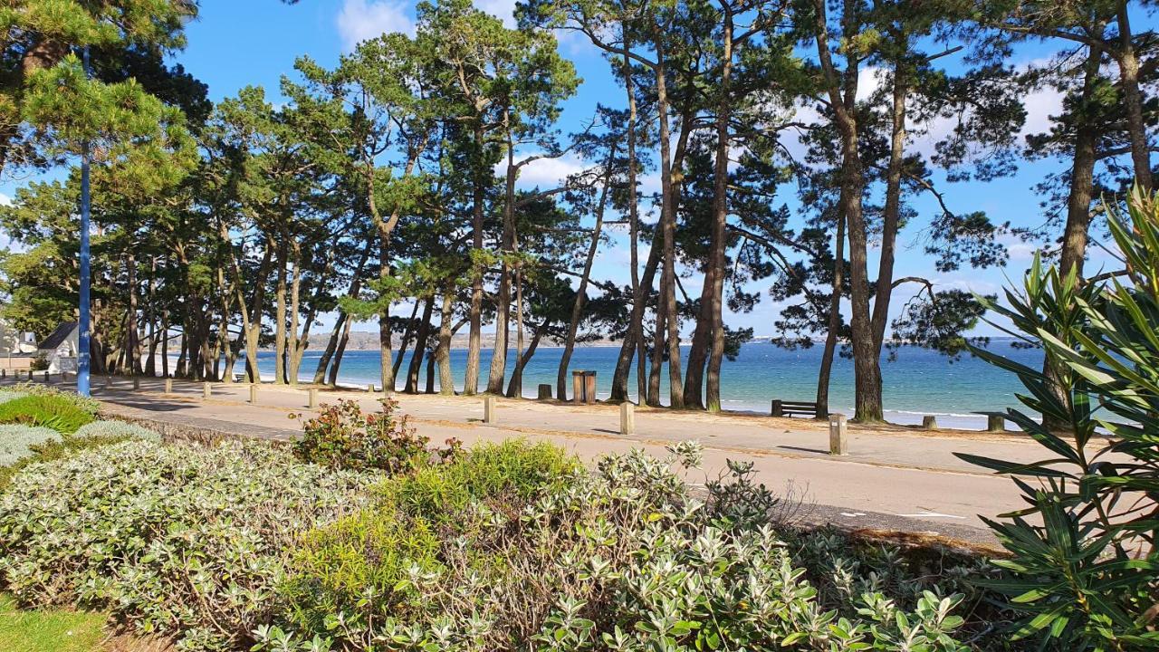 Vacances O Cap Coz - Jardin Vue Mer Et Piscine - Residence Cap Azur 富埃南 外观 照片