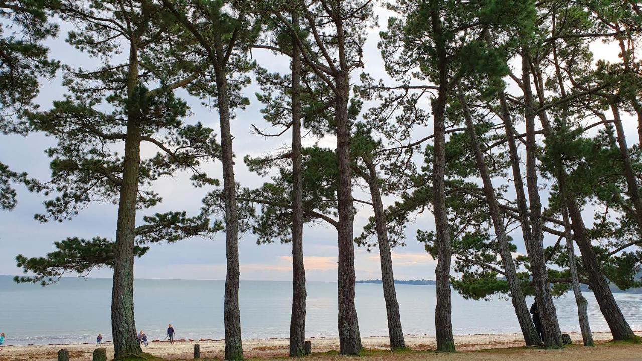 Vacances O Cap Coz - Jardin Vue Mer Et Piscine - Residence Cap Azur 富埃南 外观 照片