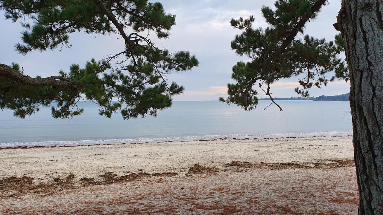 Vacances O Cap Coz - Jardin Vue Mer Et Piscine - Residence Cap Azur 富埃南 外观 照片